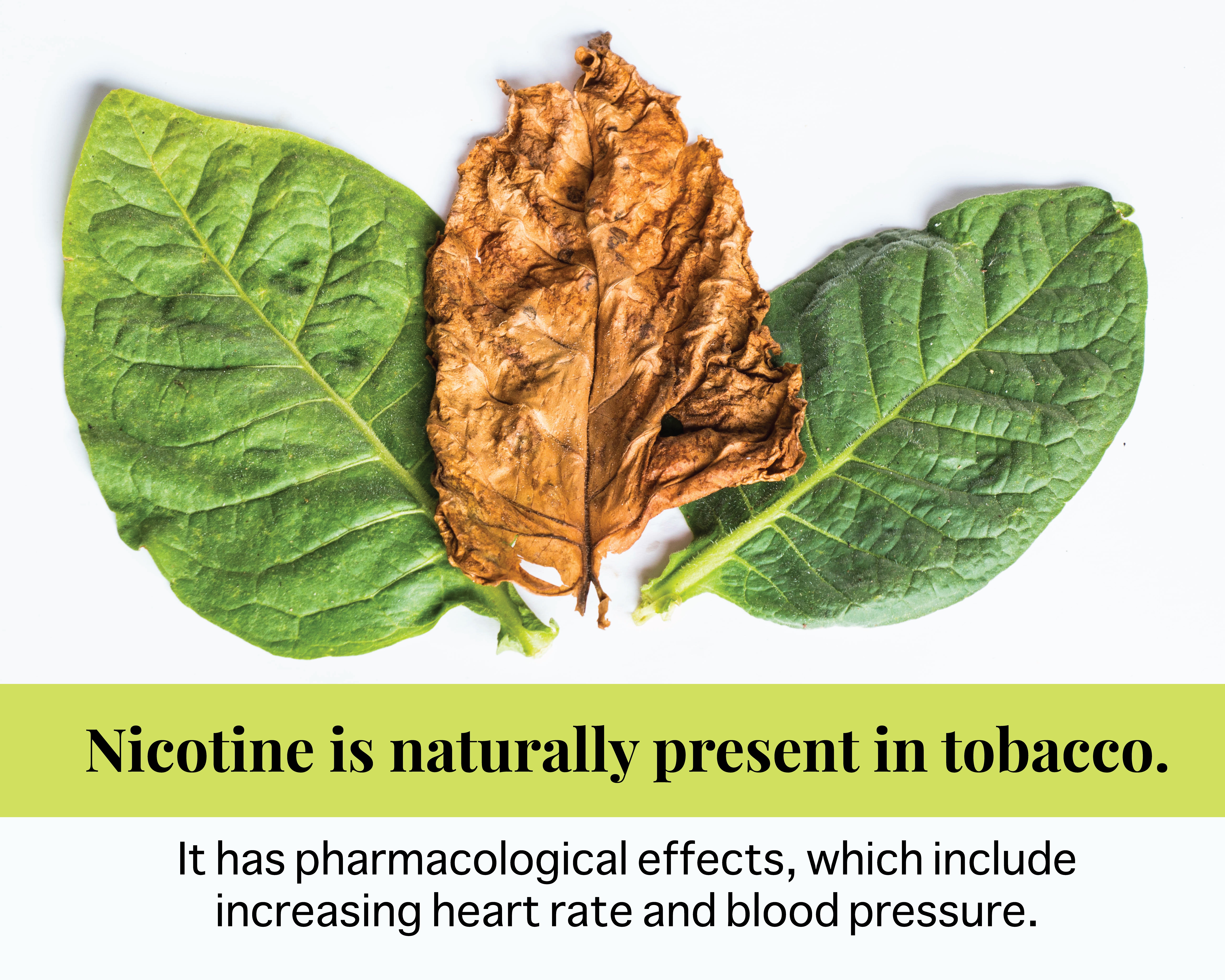 jti tobacco salary $51k-$185k Jti Tobacco International Jobs Hiring Now May 26