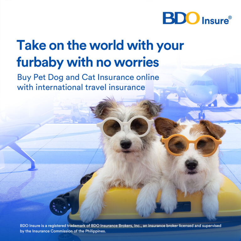 BDO Insure offers protection for pet dogs and cats Philippines Graphic