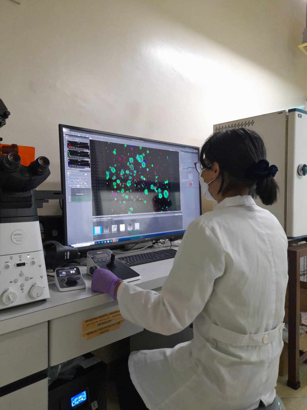 Action Photo Joyce Organoid Staining And Visualization