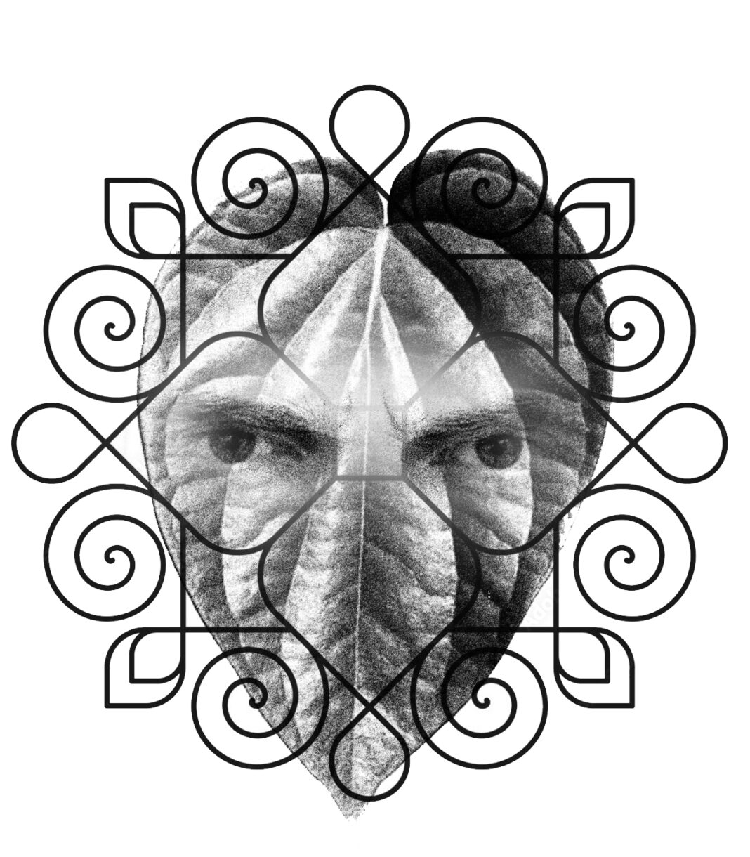 Leaves42025.jpg Corrected